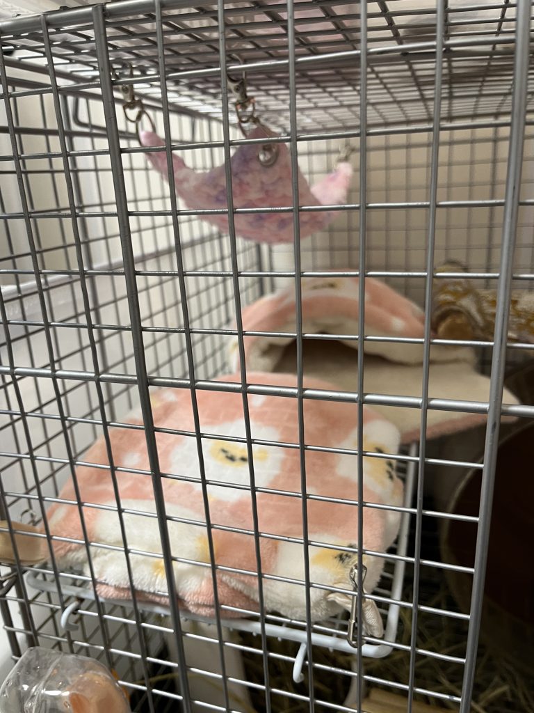 デグーのケージ