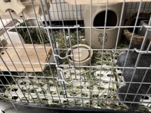 こんな感じになります